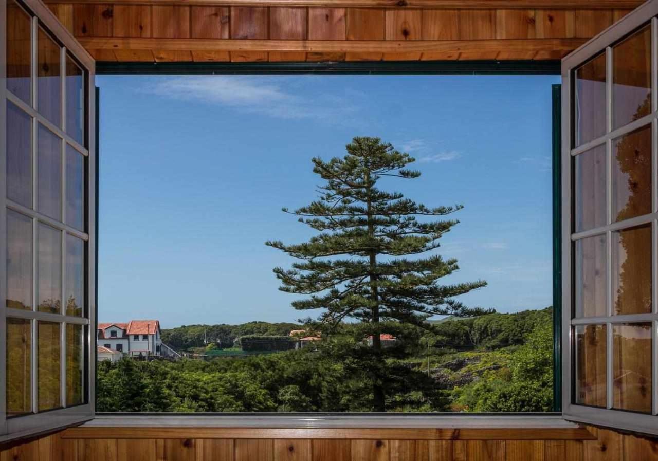 Porto Martins Vivenda Gomes Alヴィラ エクステリア 写真